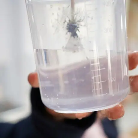 Nursery and preschool science experiments